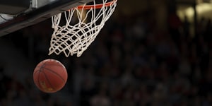 美国职业篮球联赛NBA标志